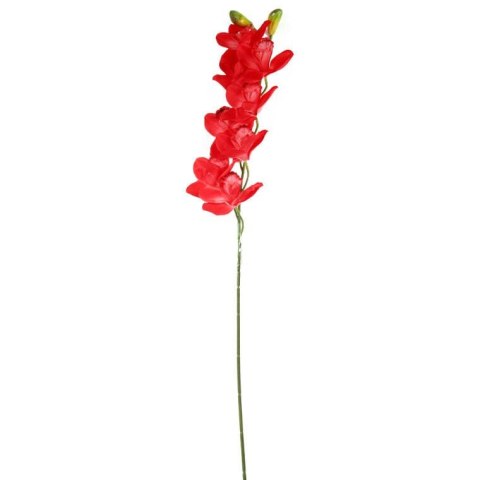 Storczyk Orchidea Czerwona Premium - Dekoracja Naturalnej Wielkości