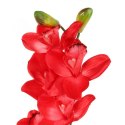 Storczyk Orchidea Czerwona Premium - Dekoracja Naturalnej Wielkości