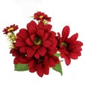 Bukiet 7 margaretek 36cm kolor bordowy