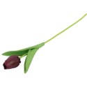 TULIPAN GUMOWANY POJEDYNKA KOLOR FIOLETOWY
