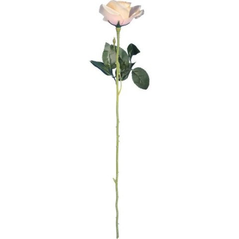 RÓŻA 62 cm KOLOR KREMOWY