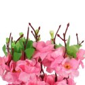 Bukiet 9 JABŁONI w kolorze JASNO RÓŻOWYM 38 cm
