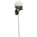 CHRYZANTEMA 76 CM BIAŁA