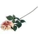 Dalia DUŻY kwiat pojedynczy BRĄZOWA 74 cm