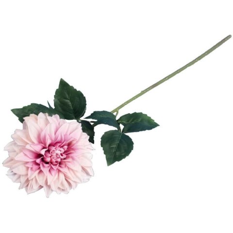 Daliia DUŻY kwiat pojedynczy JASNY RÓŻ 74 cm