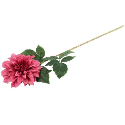 Daliia DUŻY kwiat pojedynczy RÓŻOWA 74 cm