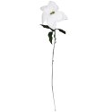 Kwiat pojedynczy Gwiazda Betlejemska Poinsecja 64 cm BIAŁA