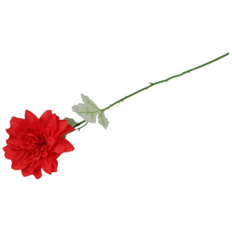 Dalia kwiat pojedynczy czerwony 70 cm