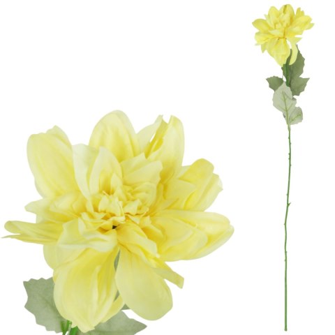Dalia kwiat pojedynczy czerwony 70 cm