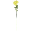 Dalia kwiat pojedynczy czerwony 70 cm