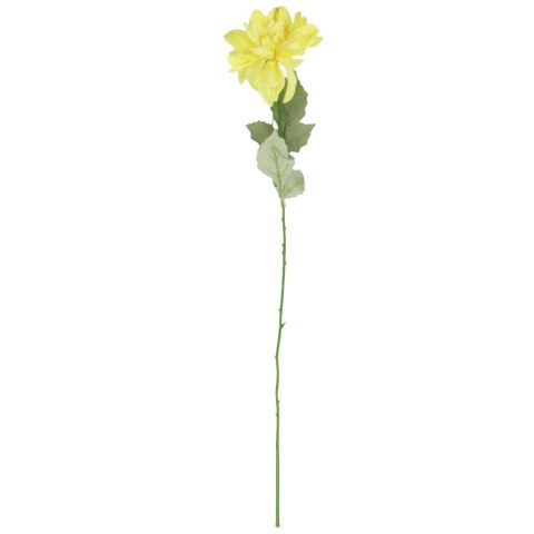 Dalia kwiat pojedynczy czerwony 70 cm