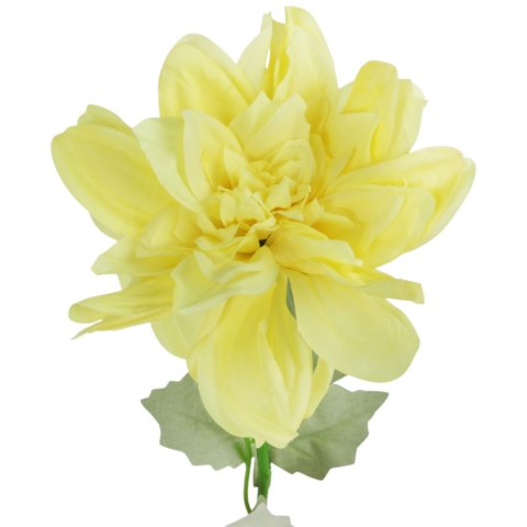 Dalia kwiat pojedynczy czerwony 70 cm
