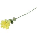 Dalia kwiat pojedynczy czerwony 70 cm
