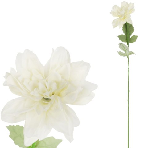 Dalia kwiat pojedynczy czerwony 70 cm