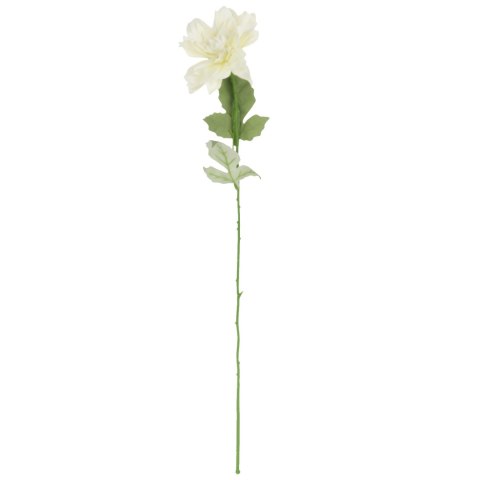 Dalia kwiat pojedynczy czerwony 70 cm