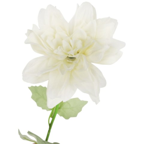 Dalia kwiat pojedynczy czerwony 70 cm