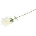 Dalia kwiat pojedynczy czerwony 70 cm