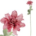Dalia kwiat pojedynczy różowy 70 cm