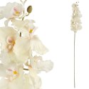 STORCZYK ORCHIDEA GAŁĄZKA 9 KWIATÓW 105 CM KREMOWA
