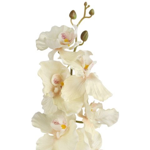 STORCZYK ORCHIDEA GAŁĄZKA 9 KWIATÓW 105 CM KREMOWA