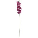 STORCZYK ORCHIDEA GAŁĄZKA 9 KWIATÓW 105 CM RÓŻOWY