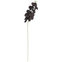 STORCZYK sztuczne kwiaty do wazonu GAŁĄZKA ORCHIDEA brązowa 100 cm