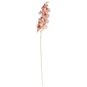 STORCZYK sztuczne kwiaty do wazonu GAŁĄZKA ORCHIDEA jasno brązowa 100 cm