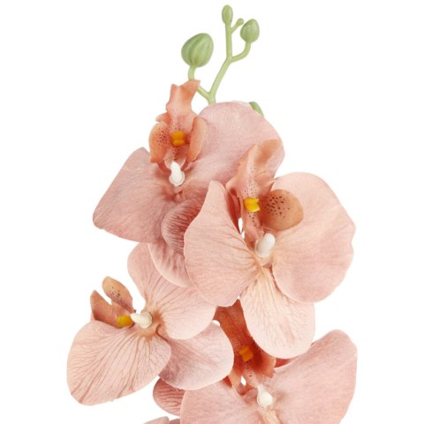 STORCZYK sztuczne kwiaty do wazonu GAŁĄZKA ORCHIDEA jasno brązowa 100 cm