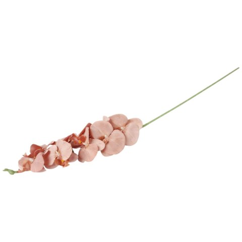 STORCZYK sztuczne kwiaty do wazonu GAŁĄZKA ORCHIDEA jasno brązowa 100 cm