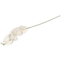 STORCZYK sztuczne kwiaty do wazonu GAŁĄZKA ORCHIDEI biała 100 cm
