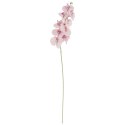 STORCZYK sztuczne kwiaty do wazonu GAŁĄZKA ORCHIDEI biała 100 cm