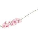 STORCZYK sztuczne kwiaty do wazonu GAŁĄZKA ORCHIDEI biała 100 cm