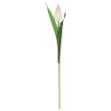 TULIPAN KWIAT SZTUCZNY do wazonu biały 40 cm