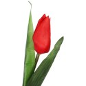 TULIPAN KWIAT SZTUCZNY do wazonu biały 40 cm