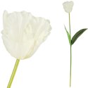 TULIPAN KWIAT SZTUCZNY do wazonu biały 65 cm