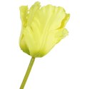 TULIPAN KWIAT SZTUCZNY do wazonu zielony 65 cm