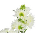 MARGARETKI GAŁAZKA WIELOKWIATOWA 70 CM KOLOR BIAŁY