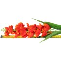 OSTRÓŻKA KWIAT SZTUCZNY do wazonu różowa 82 cm