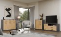Komoda SIMPLO 2D2S Szafka 2 Szuflady 2 Drzwi Do Salonu ANTRACYT DĄB ARTISAN