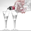 Dozownik nalewak barmański do alkoholu ZESTAW 6szt.