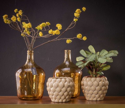 ALURO_Roślina szt.-Callicarpa żółta