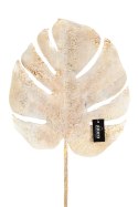 ALURO_Roślina szt.-Monstera
