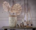 ALURO_Roślina szt.-Monstera