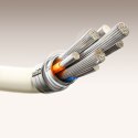 Kabel przewód USB-C - USB-C z fluorescencyjną końcówką 60W 1.2m - beżowy