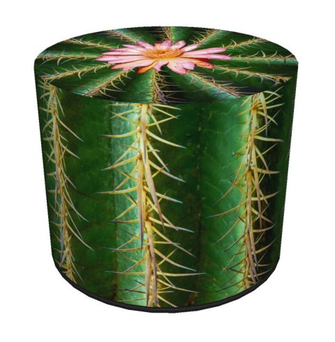 Pufa dekoracyjna, Bertoni, nadruk Cactus - okrągła pufa do salonu, przedpokoju, walec 40cm, elegancka, zamek błyskawiczny, możli