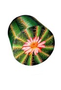 Pufa dekoracyjna, Bertoni, nadruk Cactus - okrągła pufa do salonu, przedpokoju, walec 40cm, elegancka, zamek błyskawiczny, możli