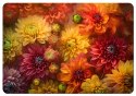 Podkładka na biurko 50×70 cm, wzór Asters - ekologiczny filc, nadruk HD, ochrona blatu, do biura i pokoju - Bertoni