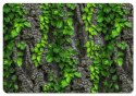 Podkładka na biurko 50×70 cm, wzór Creeper - ekologiczny filc, nadruk HD, ochrona blatu, do biura i pokoju - Bertoni