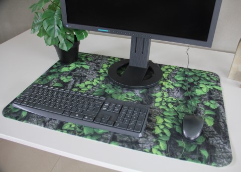Podkładka na biurko 50×70 cm, wzór Creeper - ekologiczny filc, nadruk HD, ochrona blatu, do biura i pokoju - Bertoni