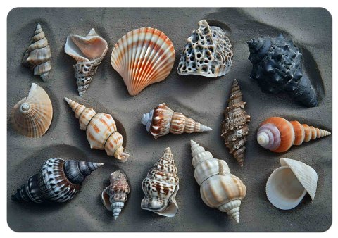 Podkładka na biurko 50×70 cm, wzór Shells- ekologiczny filc, nadruk HD, ochrona blatu, do biura i pokoju - Bertoni